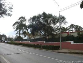 Fotografia 002