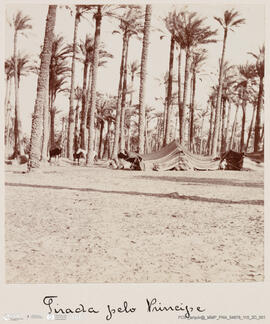 Álbum fotográfico - Viagem de Fev-Mai 1903 ao Mediterrâneo