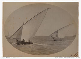 Álbum fotográfico - Fotografias de J. Benoliel oferecido a D. Afonso