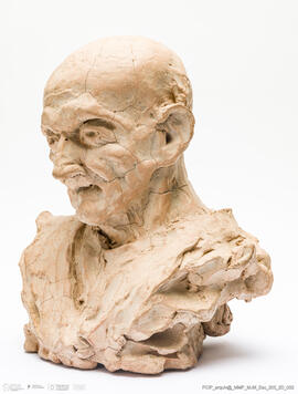 Busto de Ancião - Estudo