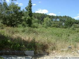 Imediações / área envolvente