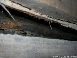 Fotografia (interior do imovel)