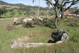 Fotografia 001