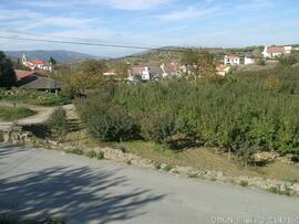 Fotografia 003