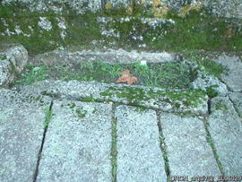 Capela - Fotografia 026