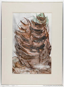 Os meus barcos são diferentes