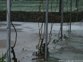 Fotografia 006