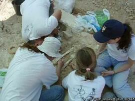 Sondagens  arqueológicas