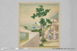 Título desconhecido (A cultura do chá)