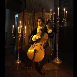 Registo videográfico