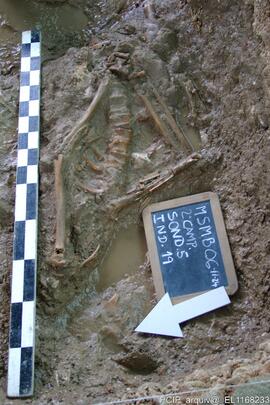 Sondagens  arqueológicas