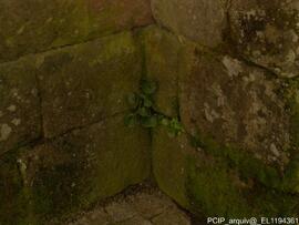 Imediações / área envolvente