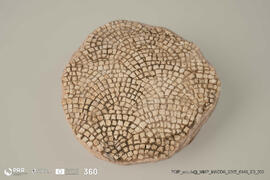 Fragmento de Mosaico