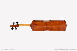 Violino
