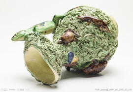 Jarro musgado Lagarto