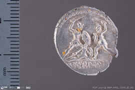 Denarius