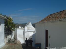 Fotografia 016
