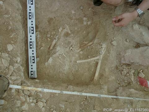 Open original Objeto digital