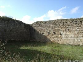 Registo Fotográfico