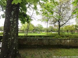 Jardim