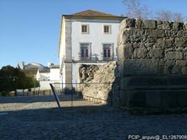 Fotografia 001