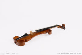 Violino
