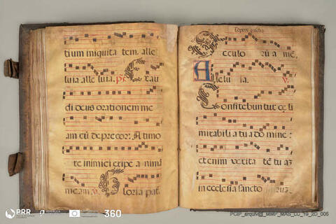 Open original Objeto digital