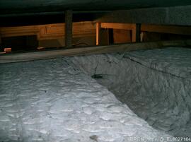 Fotografia 001