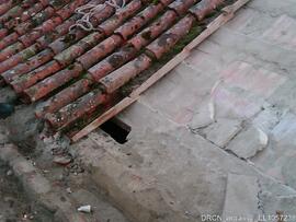Fotografia 006