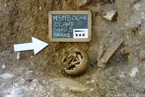 Open original Digital object