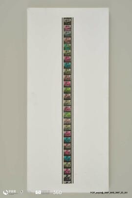 24 CORES por SEGUNDO (título do autor)