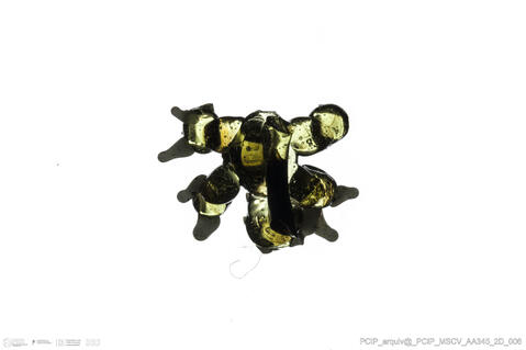 Open original Objeto digital