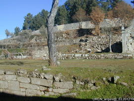 Fotografia 021