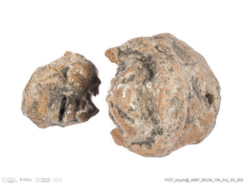 Open original Objeto digital