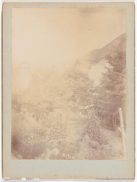 Fotografia - Paisagem - Paisagem – Ponte do Abismo – Casa rodeada de vegetação