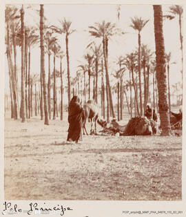 Álbum fotográfico - Viagem de Fev-Mai 1903 ao Mediterrâneo