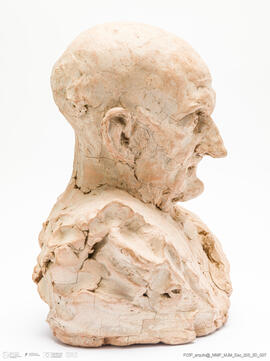 Busto de Ancião - Estudo