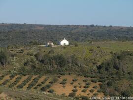 Capela