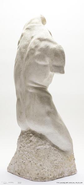 Torso Masculino