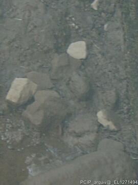 Fotografia 006