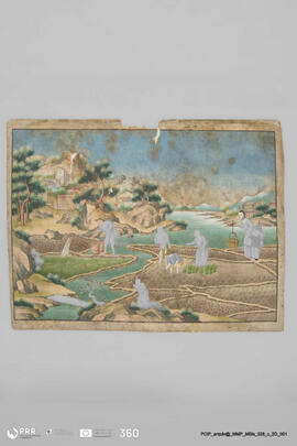 Título desconhecido (Cena quotidiana da vida chinesa: cultura do arroz)