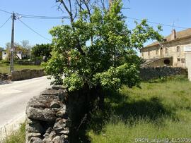 Fotografia 011