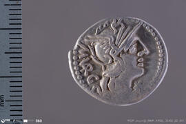 Denarius