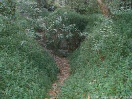 Via sacra