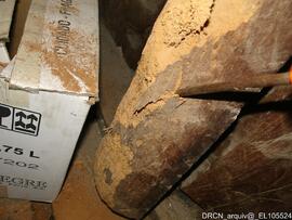 Fotografia 090