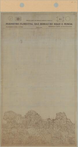 Perímetro Florestal - 16D [s.d.]