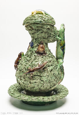 Jarro musgado Lagarto