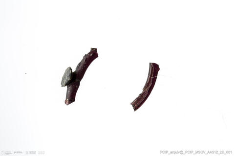 Open original Objeto digital