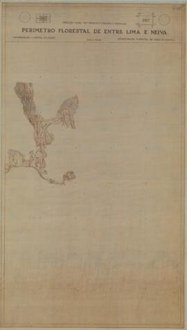 Perímetro Florestal - 29C [s.d.]