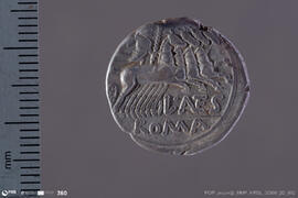 Denarius